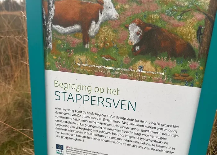 Grenszicht 아파트 *